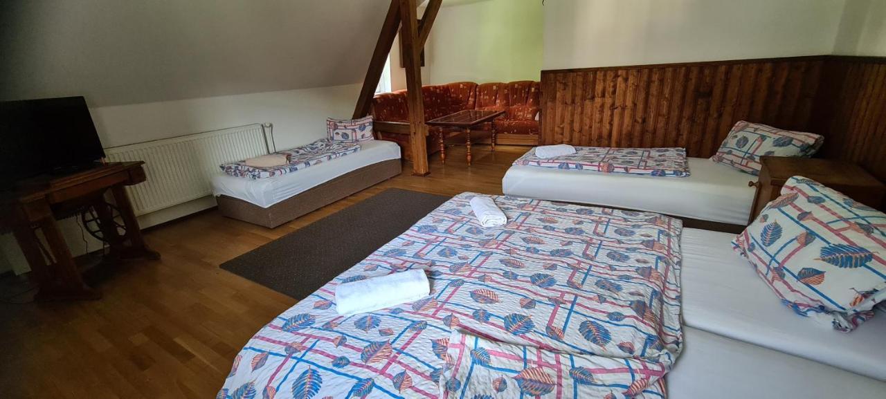 Pension Pod Lipou Loučovice المظهر الخارجي الصورة
