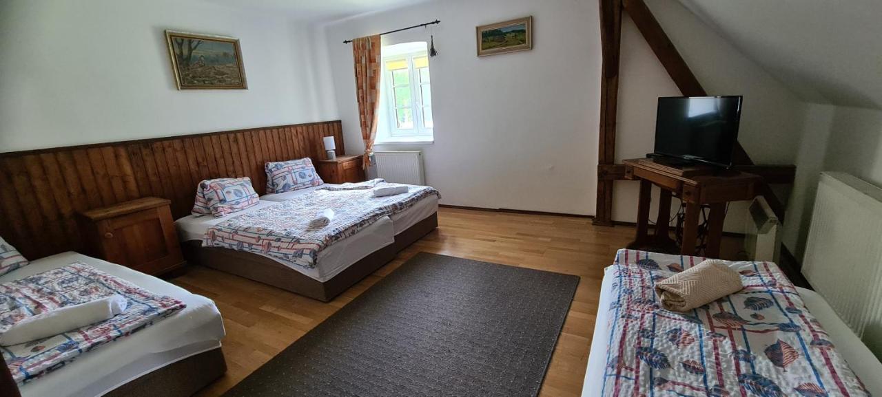 Pension Pod Lipou Loučovice المظهر الخارجي الصورة